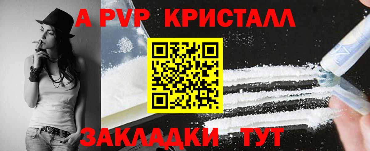Альфа ПВП СК Надым