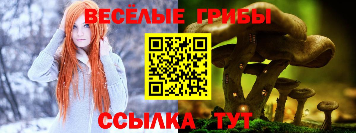 Псилоцибиновые грибы Psilocybe Надым